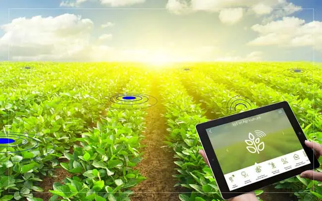 Big Data sensors in agricultural greenhouses