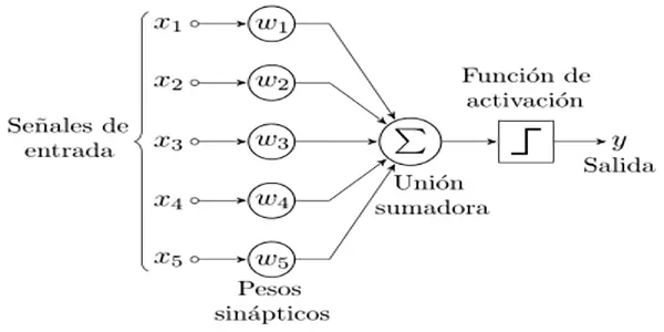 Neural network and computer vision concepts, key to artificial intelligence