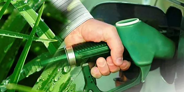 Biofuels: sugarcane as feedstock for ethanol production