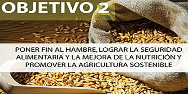 Ethical debate on biofuels and food security