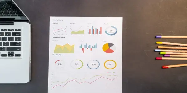 Management systems: reporting panel and data visualization