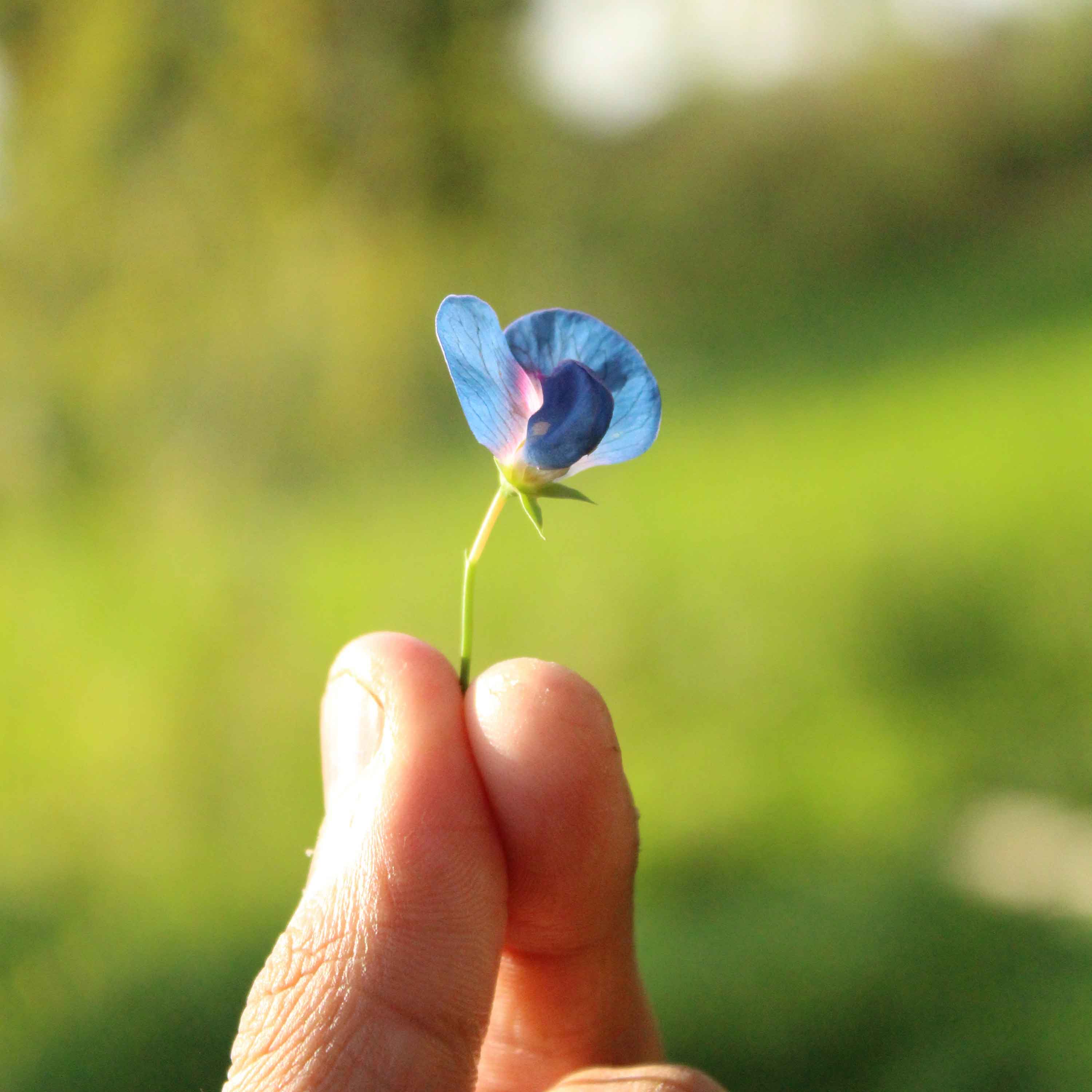 Episodio IV: Una nueva esperanza