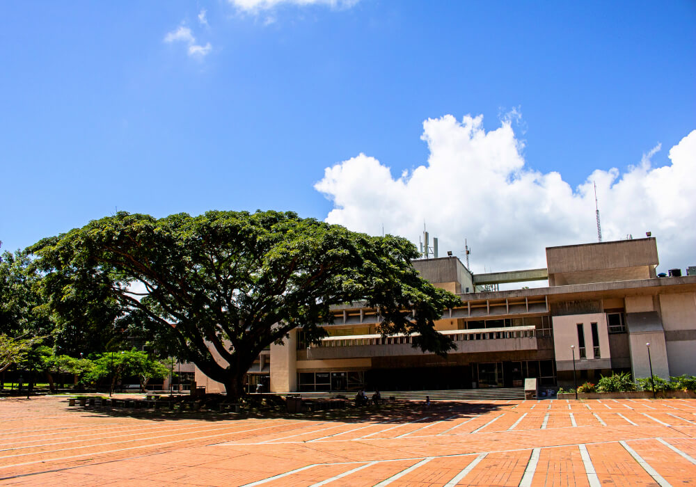 Universidad Metropolitana