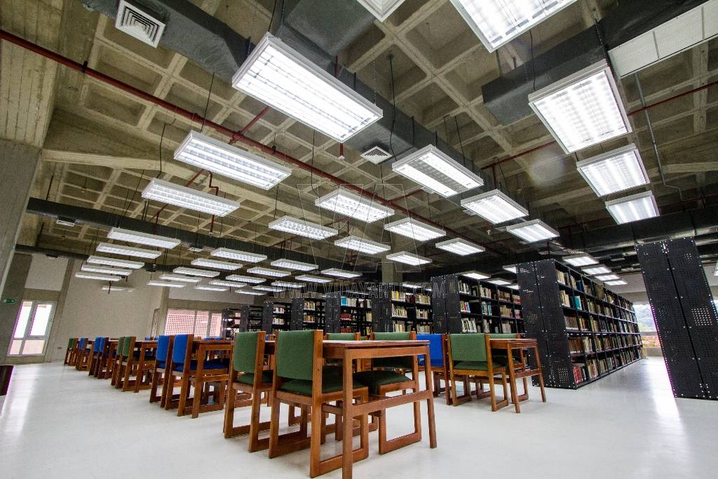 Biblioteca Pedro Grasses