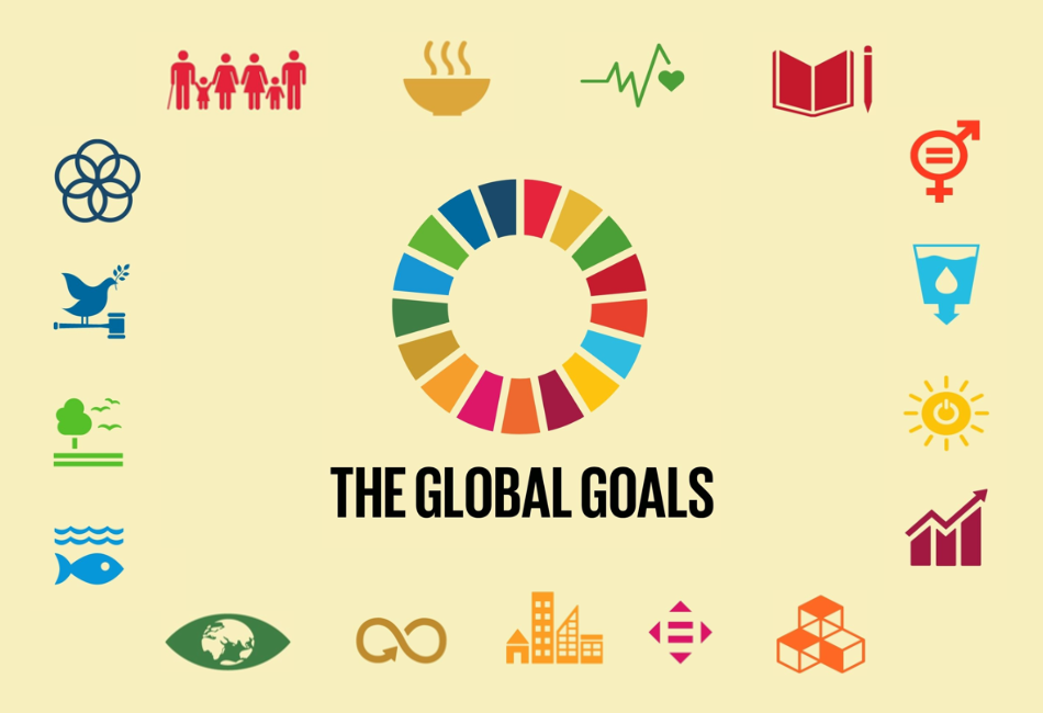 The DDMIF 2030 Strategy